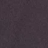 Photo of Nathan Low, President at University of Washington Applied Physics Laboratory