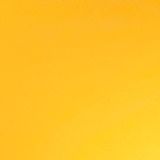 Photo of Marc F, Senior Associate