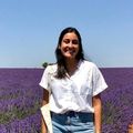 Photo of Hanel Baveja, Analyst at Union Square Ventures