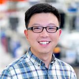 Photo of Xi Chen, Venture Partner at Nest.Bio Labs