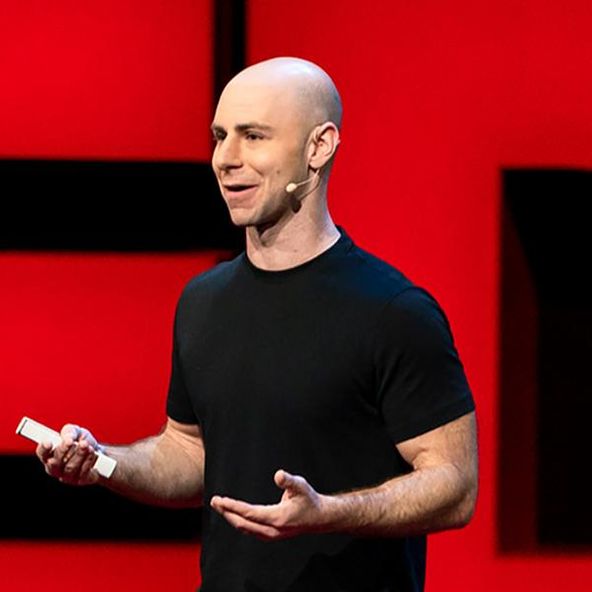 Photo of Adam Grant, Angel